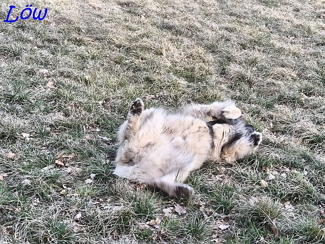 21.3.2025 - Dwix genie&szlig;t